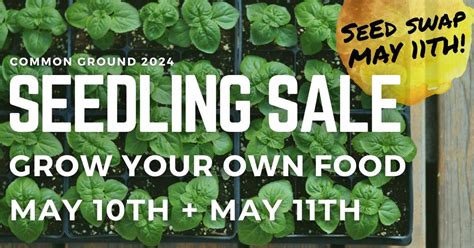 2024 Common Ground Seedling Sale & Seed Swap, 358 Springside Ave, New ...