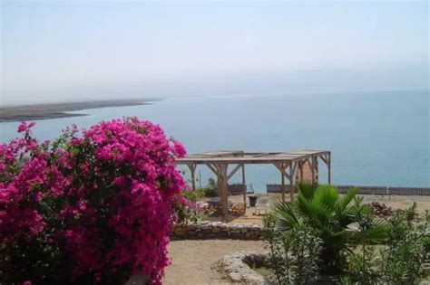A Lively Trip To The World's Most Saline Lake - The Dead Sea In Israel