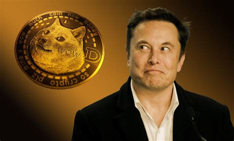 Elon Musk Endorses Dogecoin Once Again; Claims They Are 'Better Suited ...