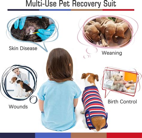 Buy Kuoser Dog Surgery Recovery Suit for Male/Female, Striped Pet ...