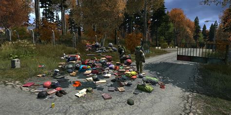 DayZ Beginner 的图像结果