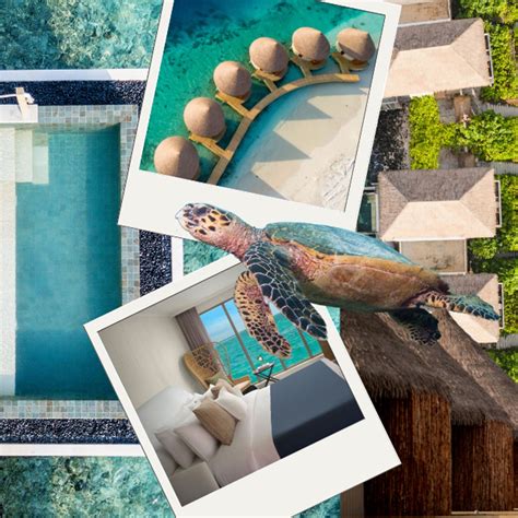 Kaia Gerber: Everything you need to know - from her love life to her ...