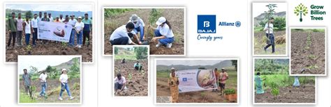 Agroforestry for a Sustainable Tomorrow: Bajaj Allianz General Insuran ...