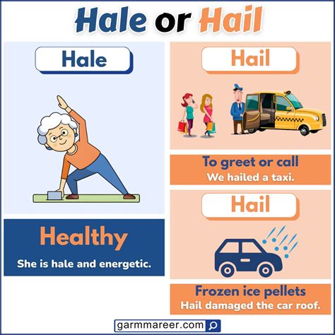 Hail or Hale: Difference, Meaning, and Correct Usage - Grammareer