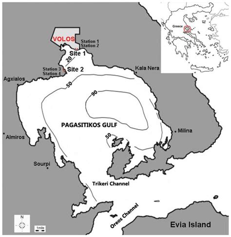 Population Characteristics of the Mid-Littoral Chthamalid Barnacle C ...