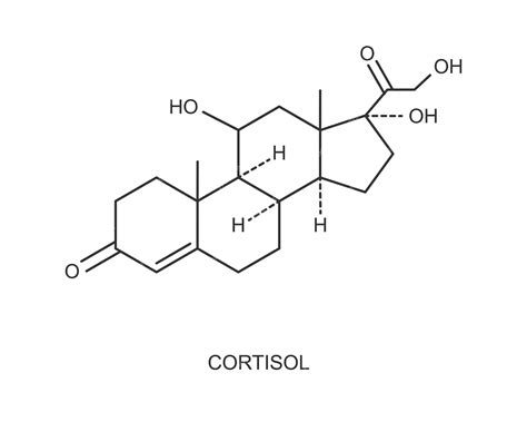 Premium Vector | Cortisol hormone icon. hydrocortisone chemical molecular structure