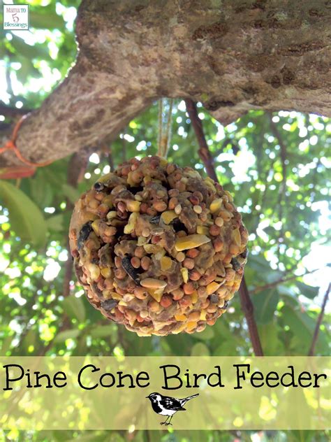 How To Make A Pine Cone Bird Feeder, Bird Watching, Birds