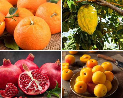 38 Fruits that Start with P with Facts and Pictures - Richmond Mom
