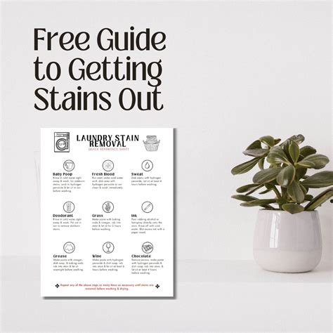 Image result for Stain Removal Reference Guide