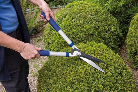 Best Hedge Shears: Our Top Picks - Urban Turnip