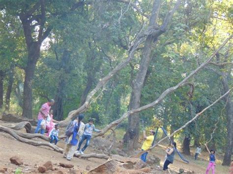 7 Places to Visit in and Around Lonavala in One Day | Only In Your ...