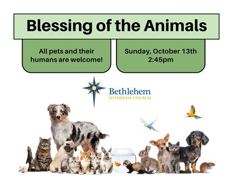 Blessing of the Animals - Bring your pet for a special blessing!, 1050 ...
