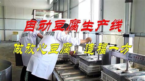 豆腐厂用自动豆腐生产线，做放心豆腐，造福一方,美食,美食节目,好看视频