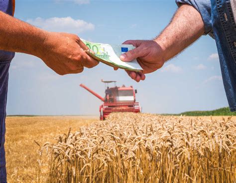 10 Prozent mehr Lohn in der Landwirtschaft: Was bedeutet das für ...