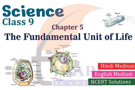 Class 9th Science Chapter 5 的图像结果