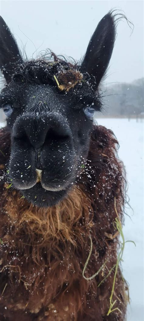On stage: Matt Hannah/Nightingale Band, 41142 160th St, Waseca, MN ...