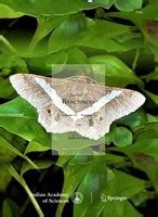 Journal of Biosciences | Indian Academy of Sciences