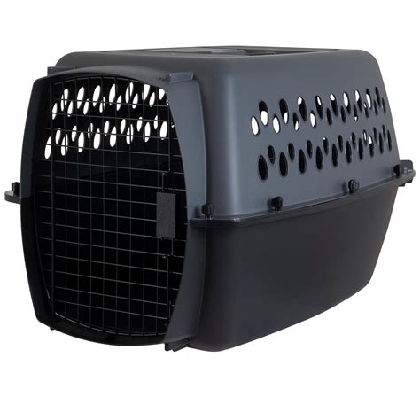 Petmate Pet Taxi Traditional Kennel, Large (Pets Up to 15 Inches Tall ...