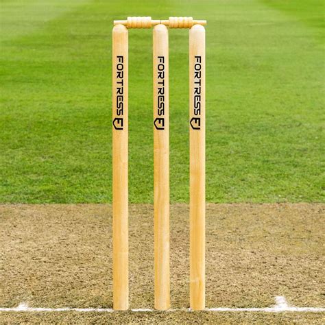FORTRESS Professional Wooden Cricket Stumps - ICC Regulation India | Ubuy