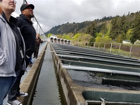 SPRING CREEK NATIONAL FISH HATCHERY (2025) All You Need to Know BEFORE ...