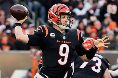 Cincinnati Bengals Super Bowl History: Wins, Losses, Appearances and ...