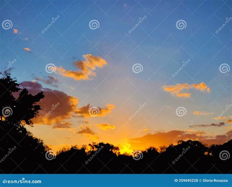 Sunset Sky Summer in Orlando Florida Stock Photo - Image of beauty ...