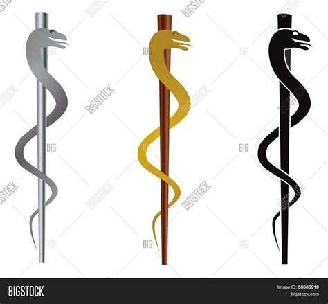 Staff Of Asclepius Vector