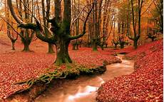 Fall Computer Wallpaper Backgrounds by Free Autumn Desktop Wallpaper Backgrounds Wallpaper Cave Fall Computer Wallpaper Backgrounds