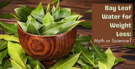 Bay Leaf Water for Weight Loss: Myth or Science? | Clinikally
