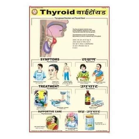 Human Diseases Charts - Deficiency Diseases Charts Distributor ...