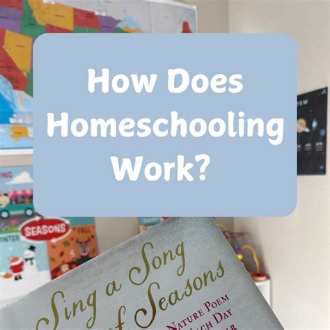 Intro to Homeschooling: A Beginner's Guide to Homeschooling ...