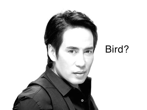 Image result for Biomimetics Examples