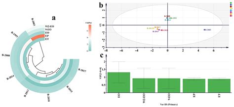 Integration of Chemometrics and Sensory Metabolomics to Validate ...