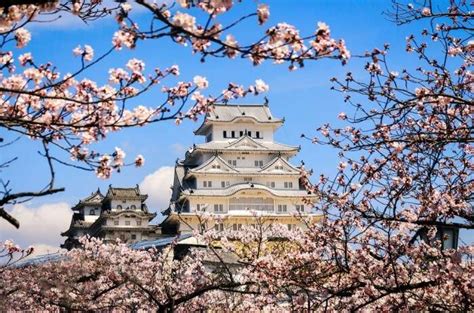 Himeji Castle Guide: Everything About This Japanese Charm!