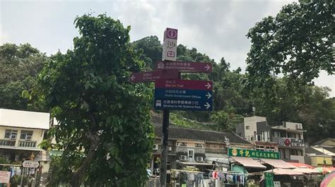 Ten Thousand Buddhas Monastery (Man Fat Sze), Hong Kong - Tripadvisor