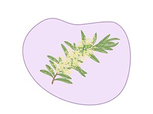 Sanfe Natural Intimate Wipes, 3 in 1 - No Odour, No Itching, No ...