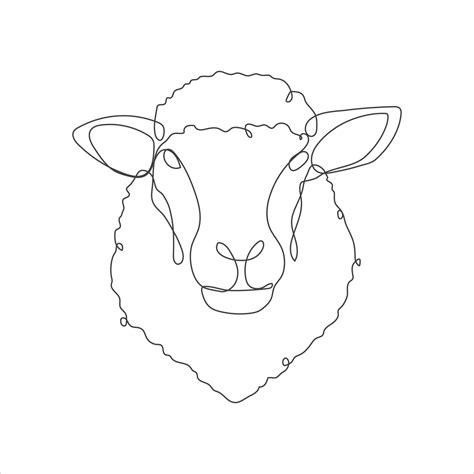 Sheep Face Drawing