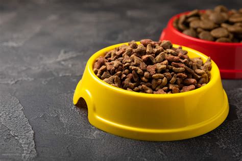 Mid America Pet Food Recall Lawsuit | Johnson//Becker