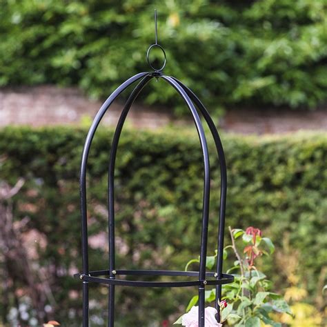 Buy Garden obelisk - black: Delivery by Waitrose Garden