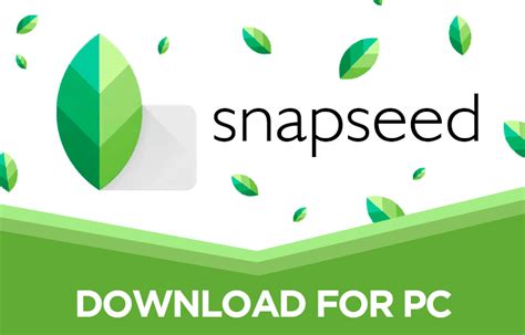 Image result for Snapseed for Computer