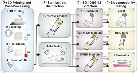 Procedure 的图像结果