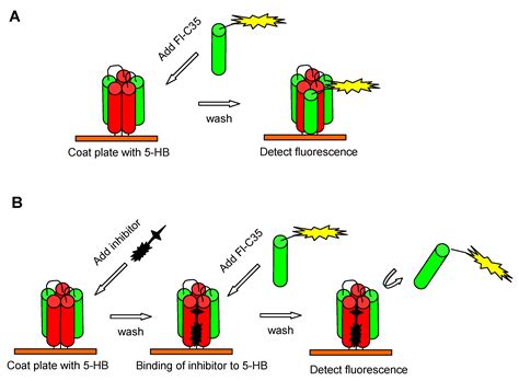 Respiratory Syncytial Virus Entry Inhibitors Targeting the F Protein