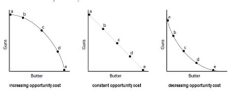 Econ PPC 的图像结果