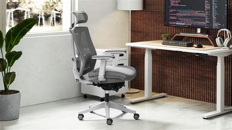 Ergonomic Computer Chair 的图像结果