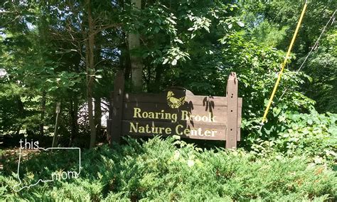 Roaring Brook Nature Center in Canton