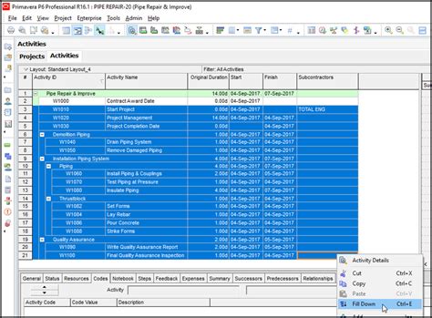 Image result for Primavera Programa