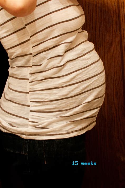 A baby for you: 15 week baby bump (twins)