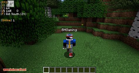 Image result for LabyMod Installation