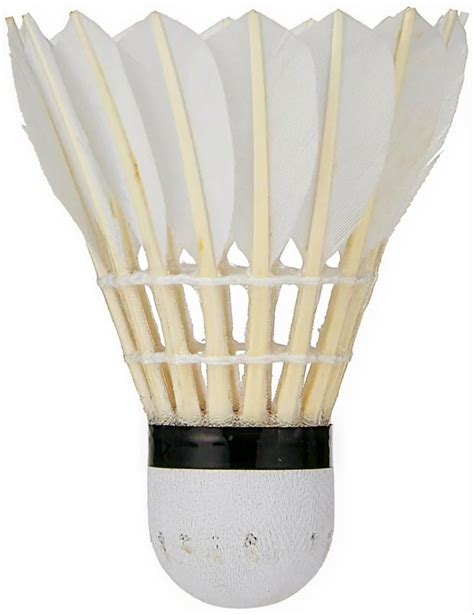 Shuttle Cock Feather Texture 的图像结果