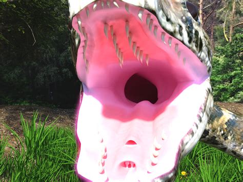 One Tooth Python 的图像结果